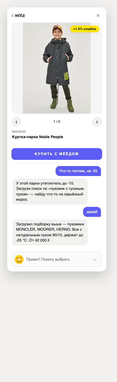 Диалог с ботом про пуховики на сильный мороз